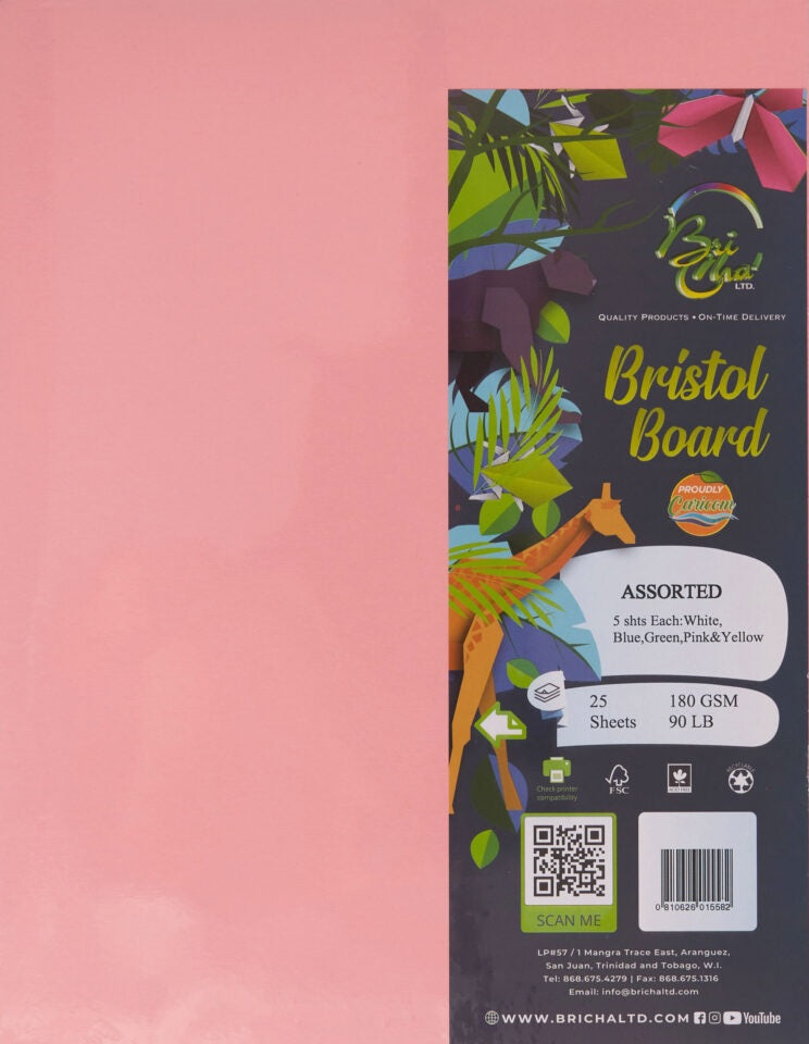 Bristol Board 8 1/2 x 11 Assorted Colors - 25 Sheets , 180 GSM