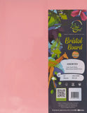 Bristol Board 8 1/2 x 11 Assorted Colors - 25 Sheets , 180 GSM