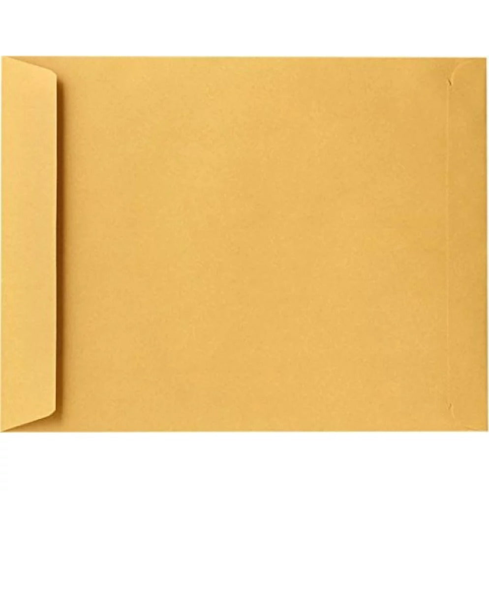 Brown Envelopes 10 x 15