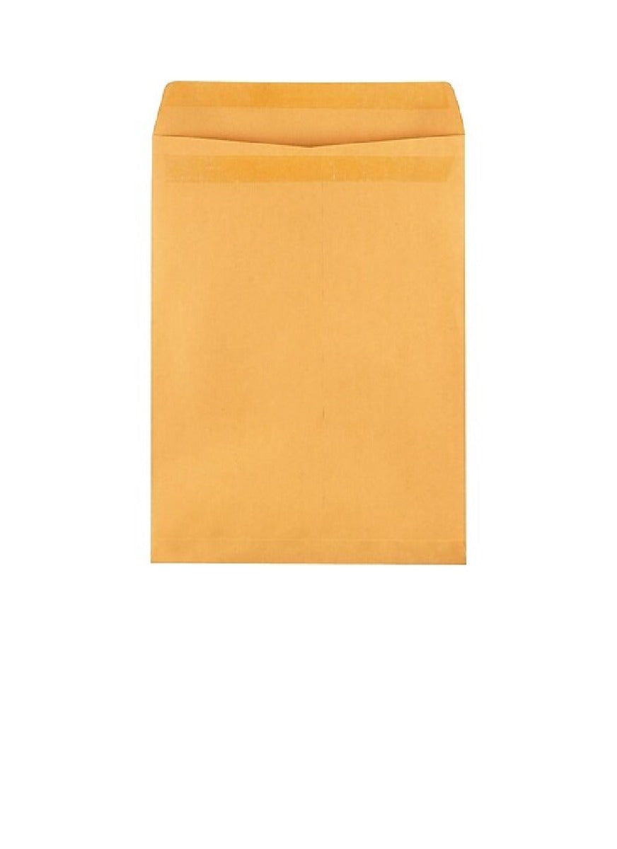 Brown Envelopes 12 x 15 1/2