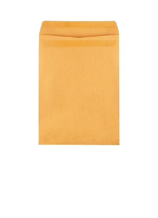 Brown Envelopes 12 x 15 1/2