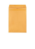 Brown Envelopes 12 x 15 1/2