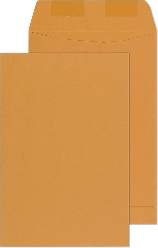 Brown Envelopes 6 x 9