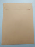 Brown Envelopes 8 x 10 1/2