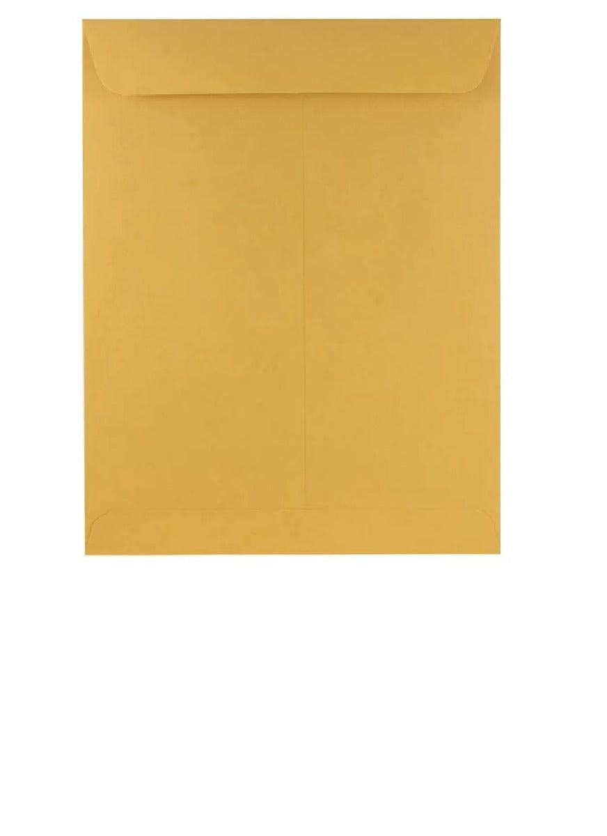 Brown Envelopes 9 x 12