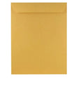 Brown Envelopes 9 x 12