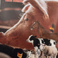 Making Connections: A Modern Approach To Animal Farm